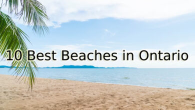 10 Best Beaches in Ontario